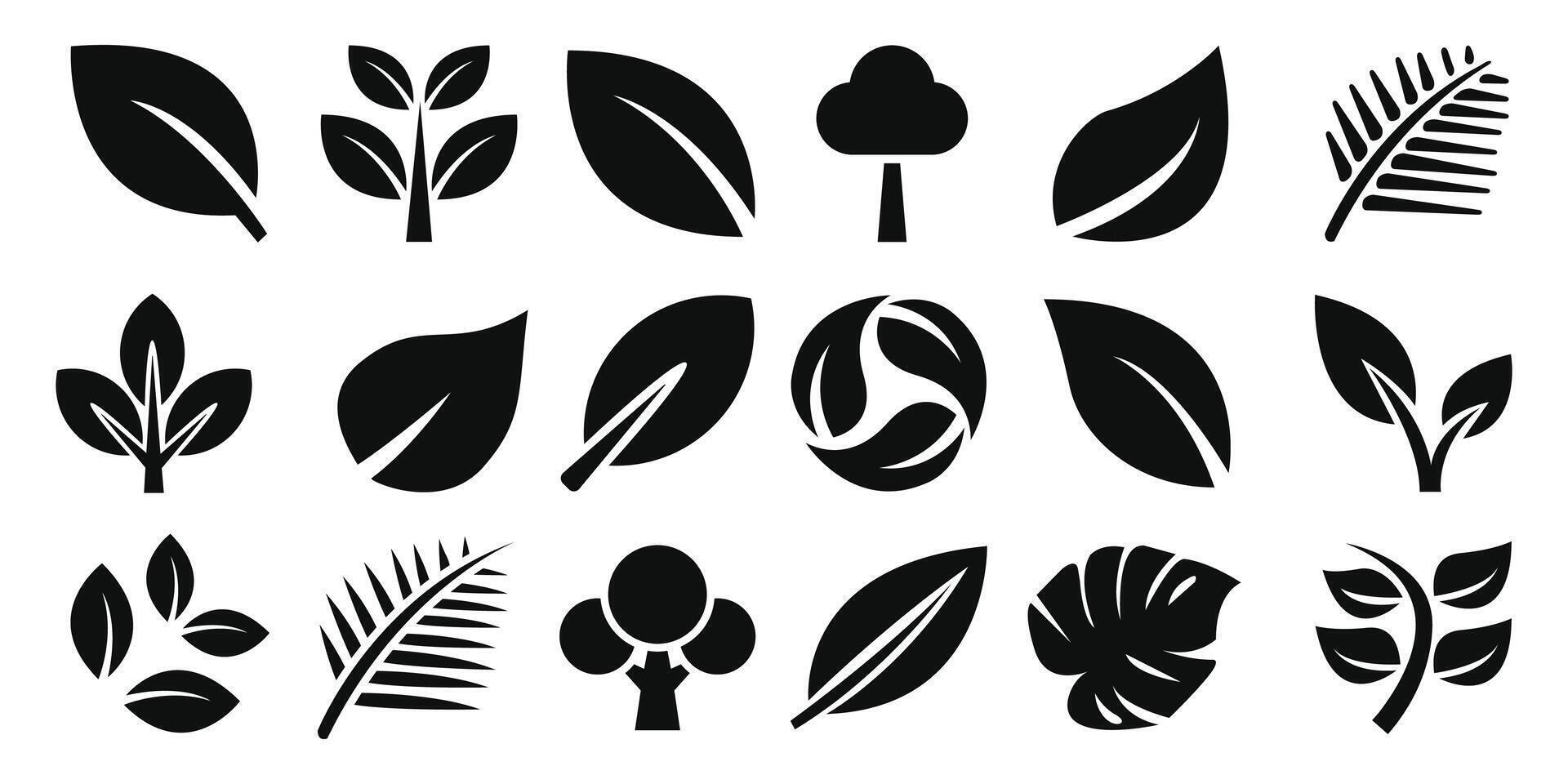 Silhouette Leaves Collection - Illustration vector