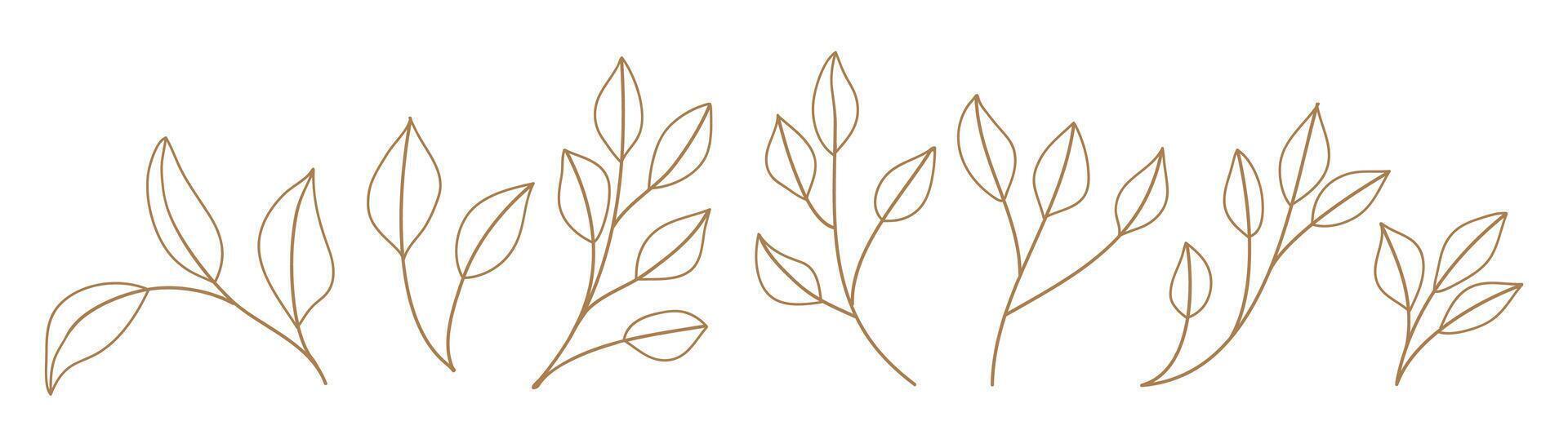 Set monochrome simple leaves botanical branches with stem and foliage illustration vector