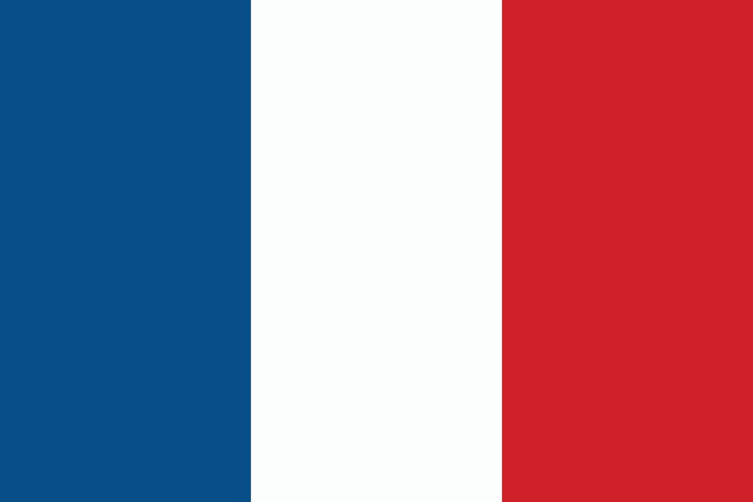 The flag of France. Flag icon. A rectangular flag. illustration. vector
