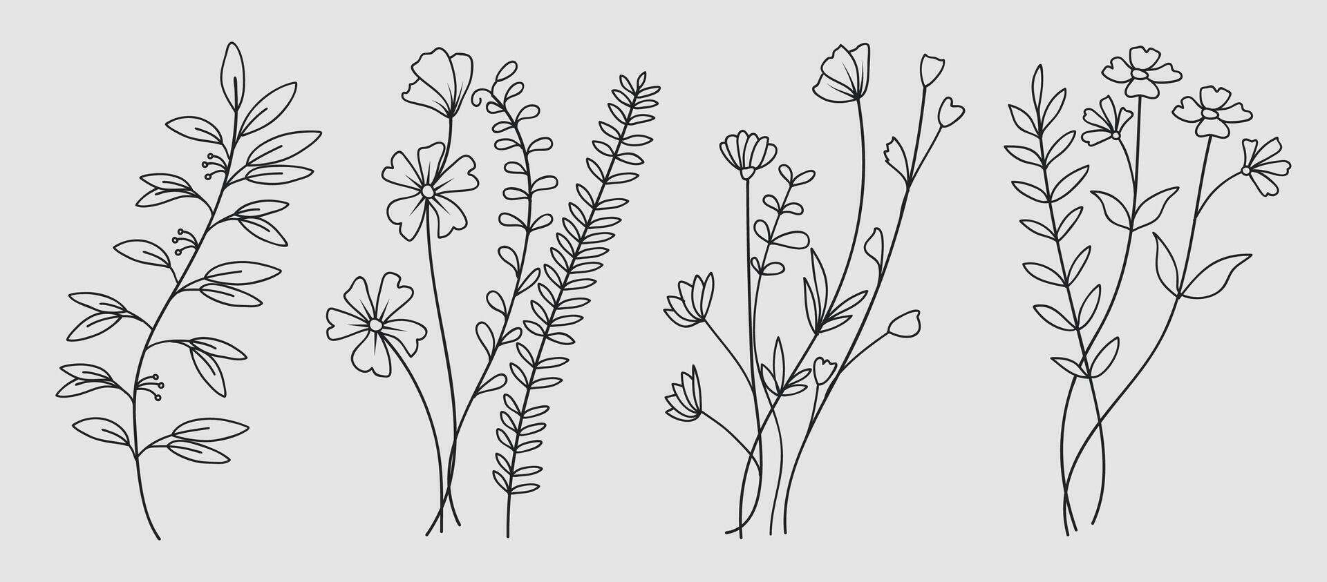Hand drawn botanical art continuous line drawing of abstract flower, floral, rose, tropical leaves, spring and autumn leaf collection. vector