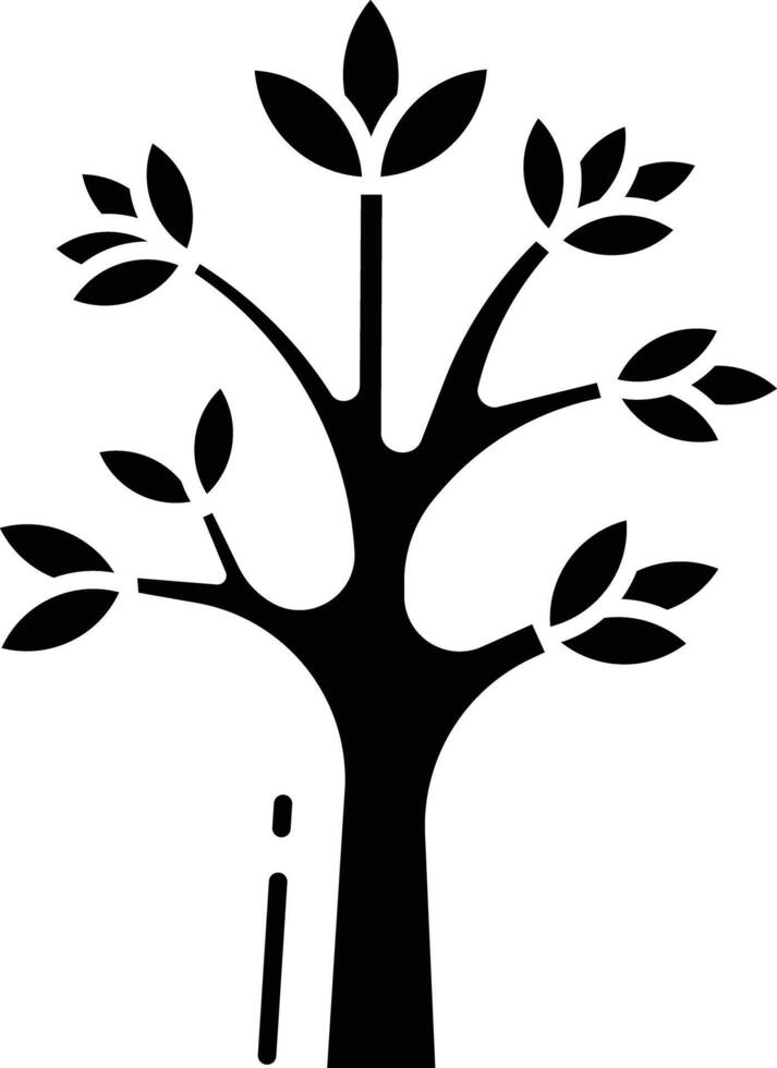 dracaena draco solid glyph illustration vector