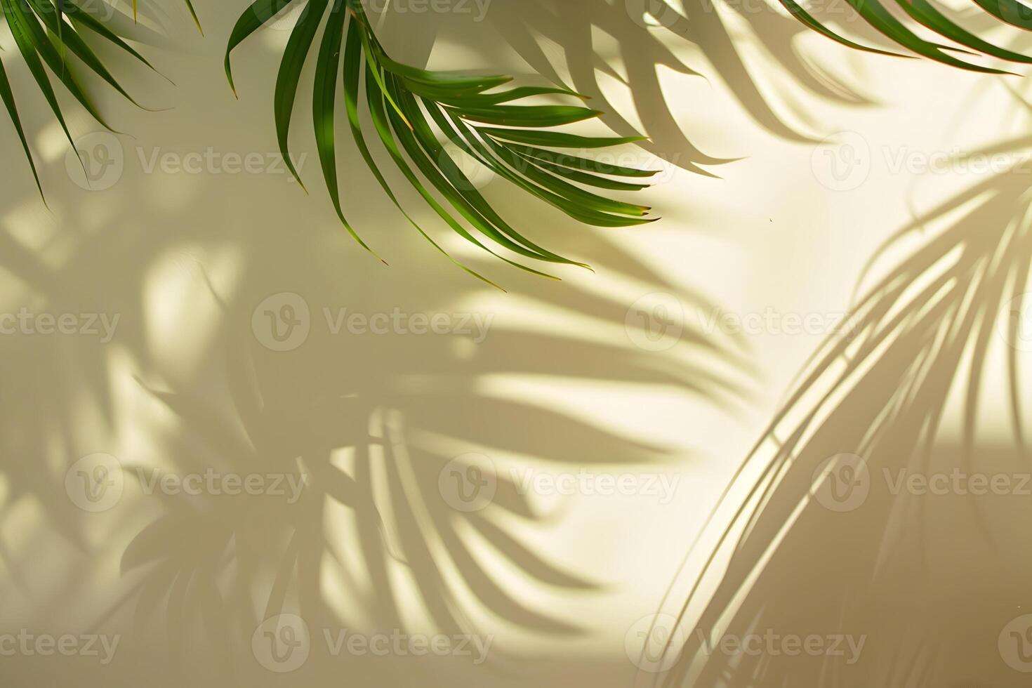 Tropical palm leaves foliage with sunlight shadows on light cream wall. Minimalistic abstract beautiful blurred summer or spring background mockup for product presentation. photo