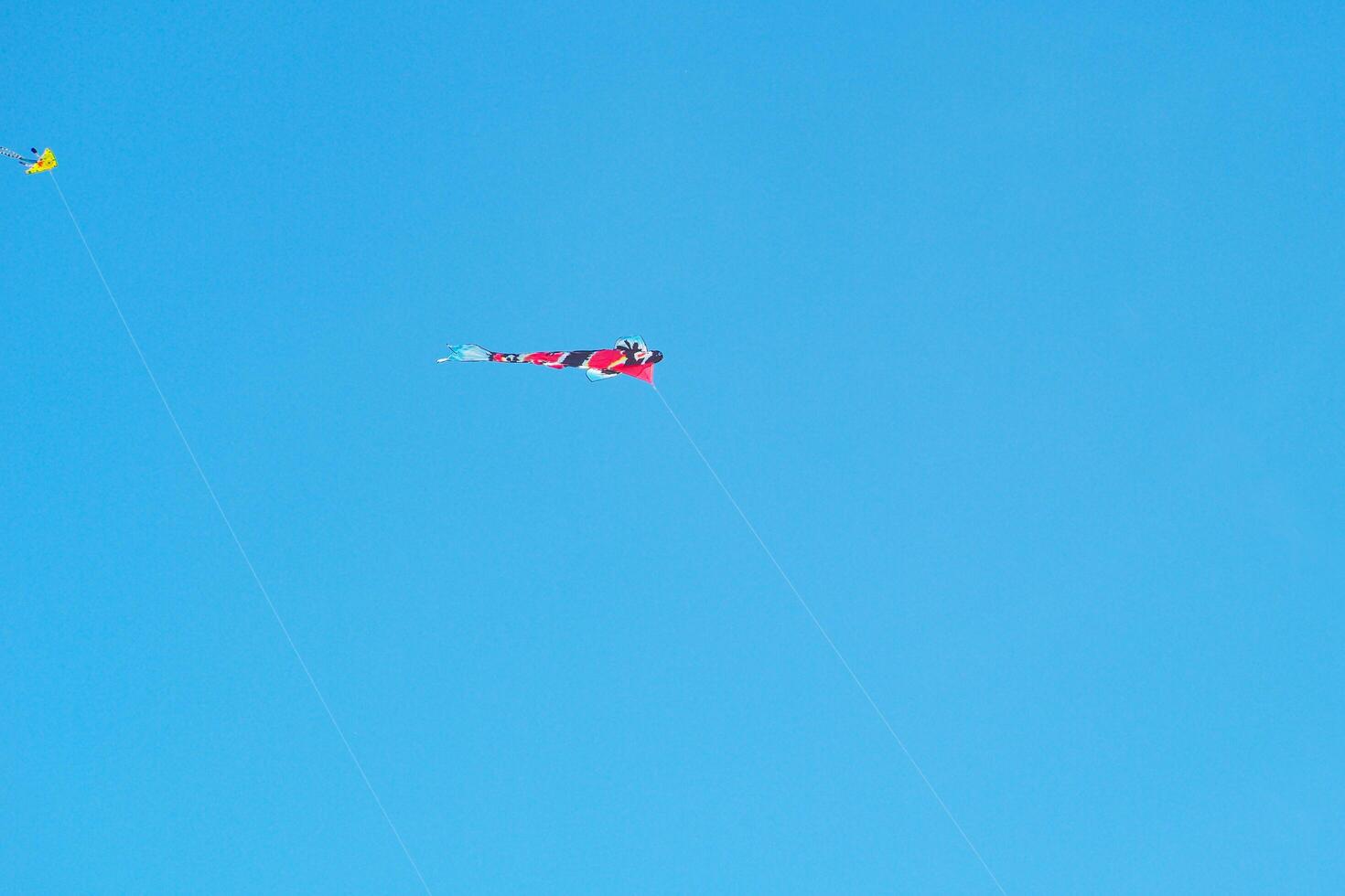 The flying kite in the air isolated on the blue sky background photo