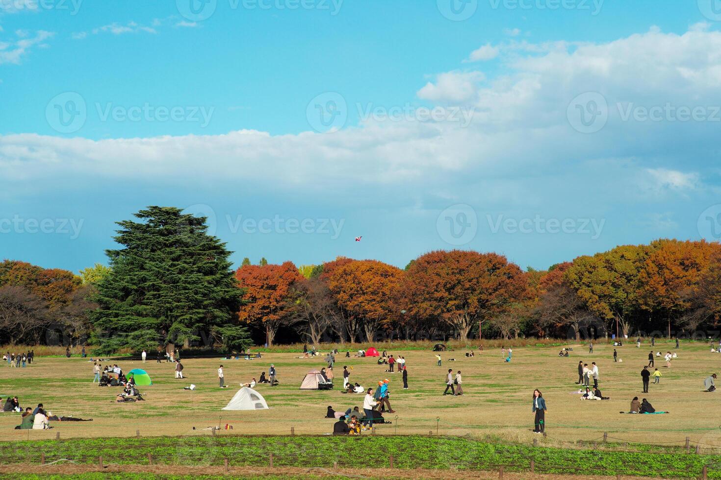 Group of people doing the outdoor activities in the public field at the park photo