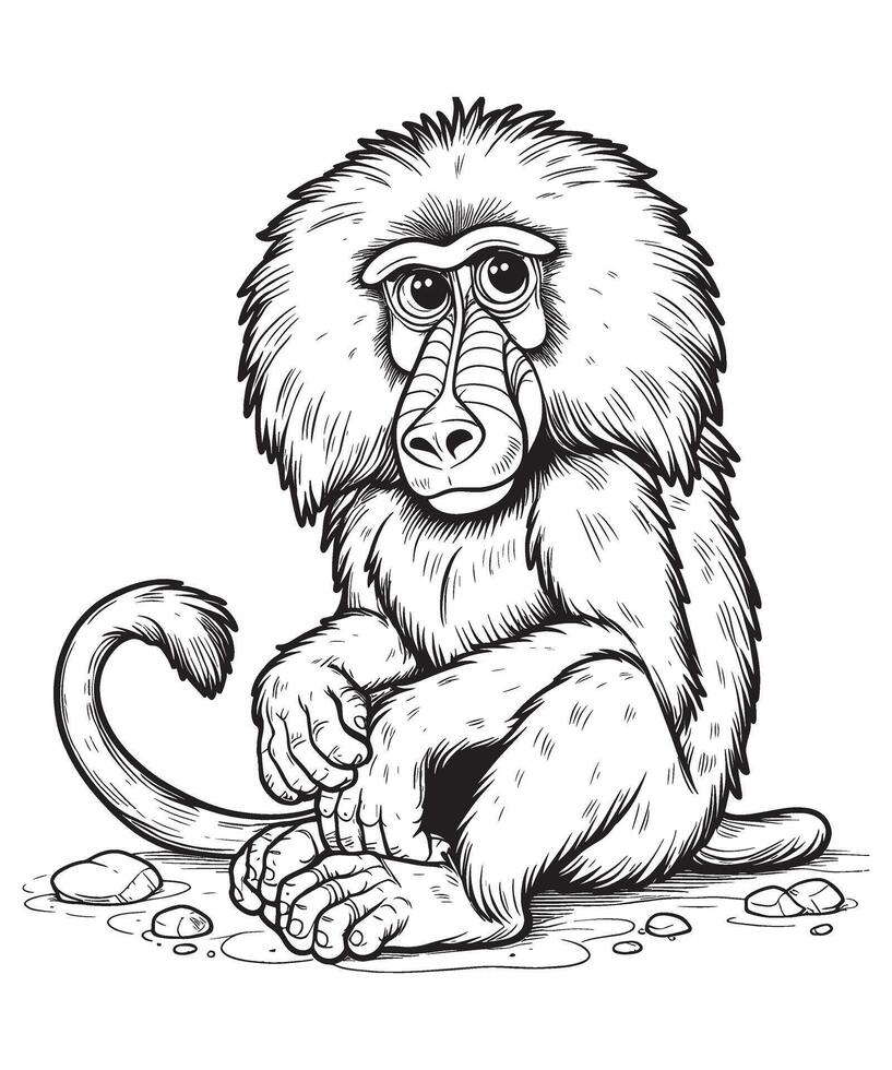 Baboon Coloring Page for Kids vector