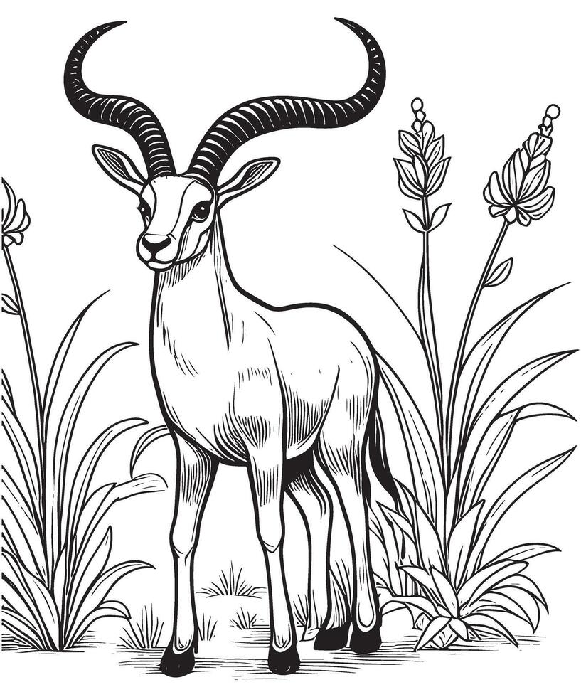 Antelope in the field Black and white illustration for coloring book vector