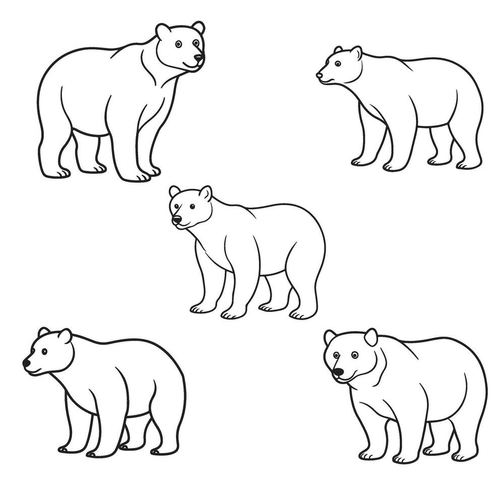 bear adult coloring page vector