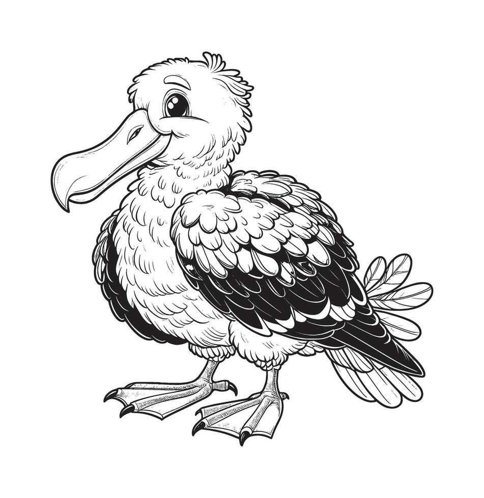 albatross bird drawing Coloring book page vector