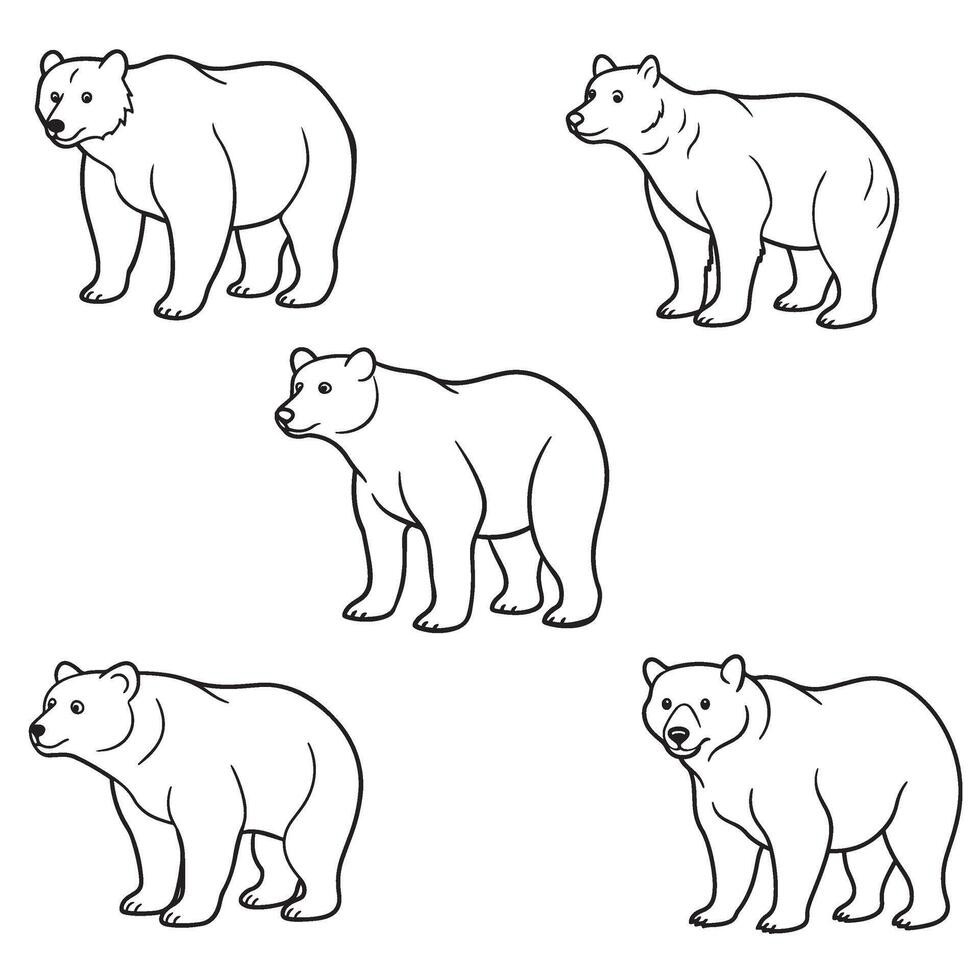 bear adult coloring page vector
