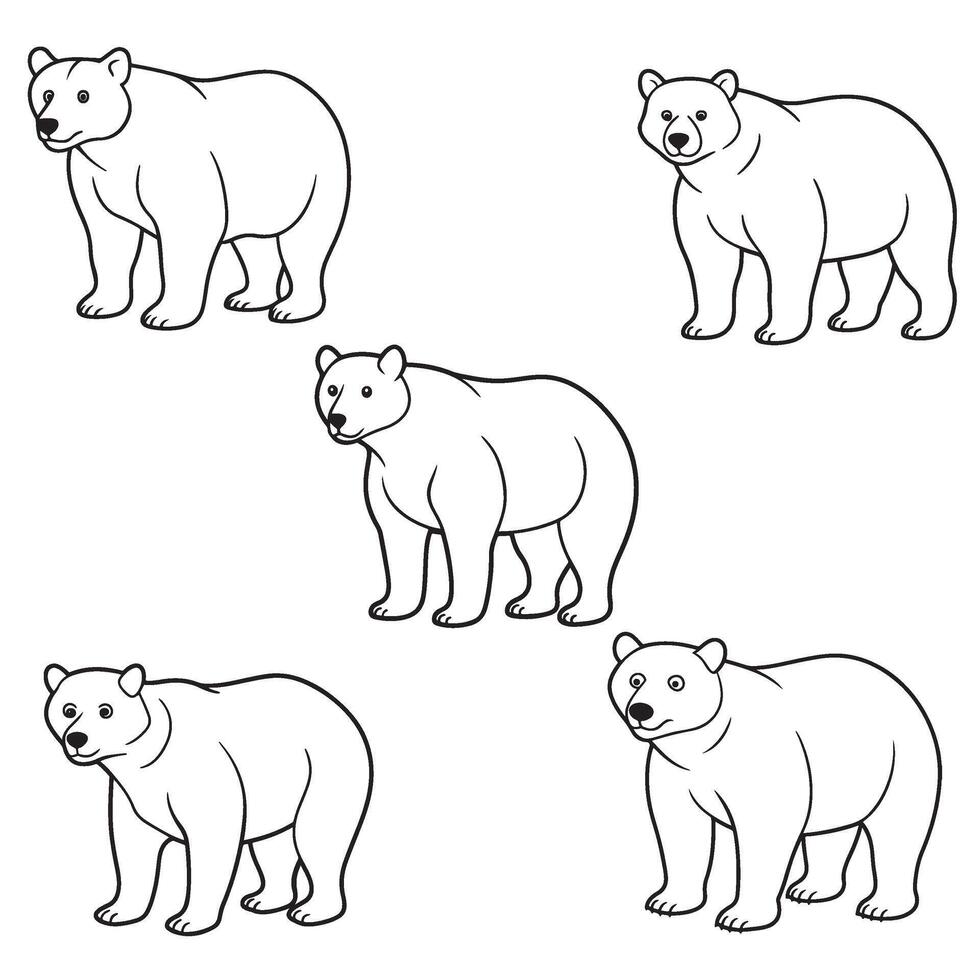 bear adult coloring page vector