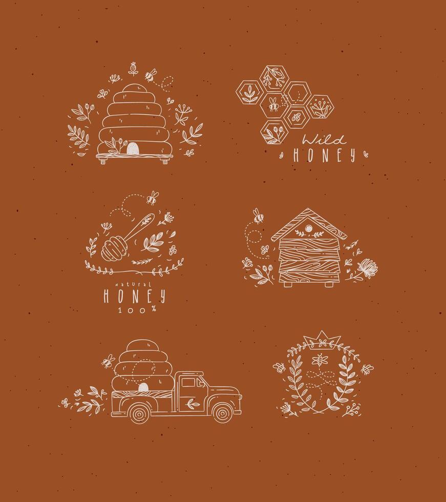 Honey collection of labels, beehive, honeycomb, spoon with flower and branches drawing in graphic style on terracotta background vector