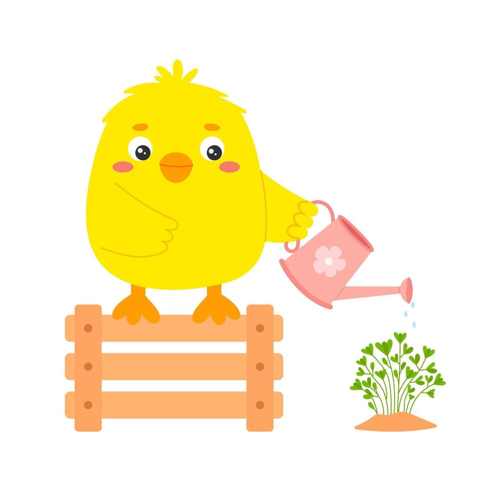 Cute yellow cartoon chick watering plants with a pink watering can. Flat illustration on white background vector