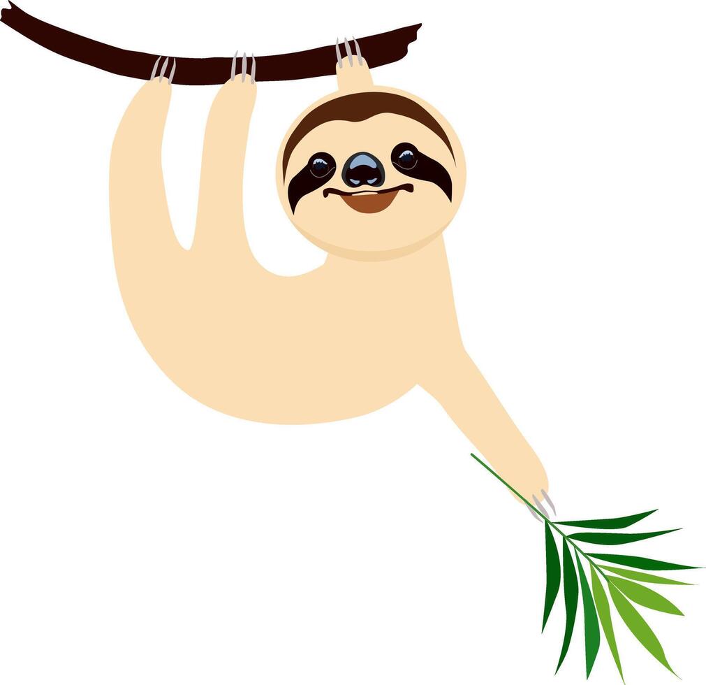 Cartoon sloth hangs on a tree branch. vector