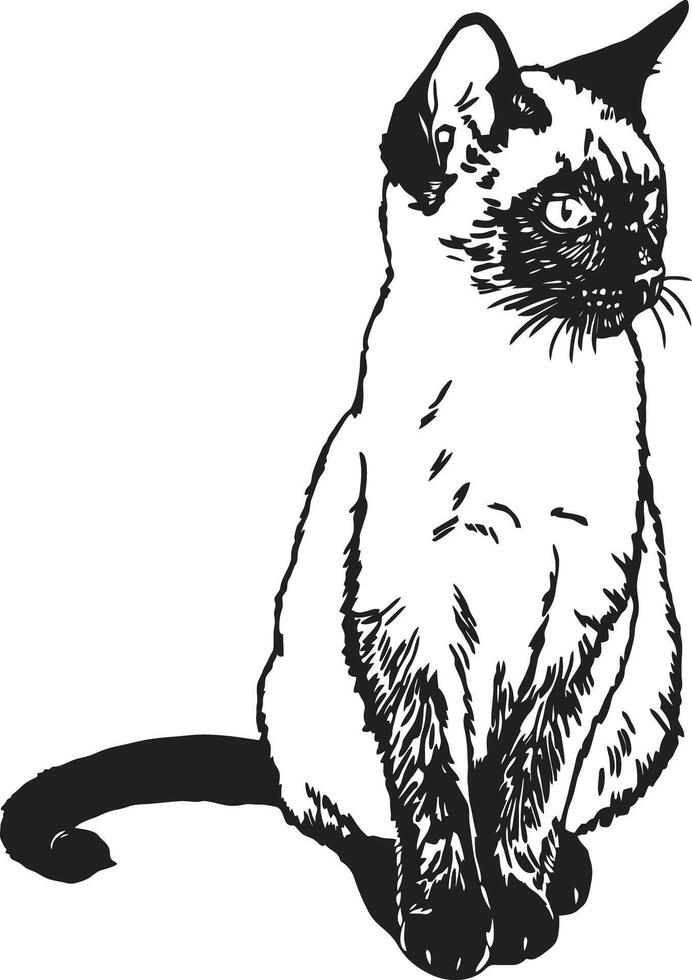 Siamese cat black and white illustration vector