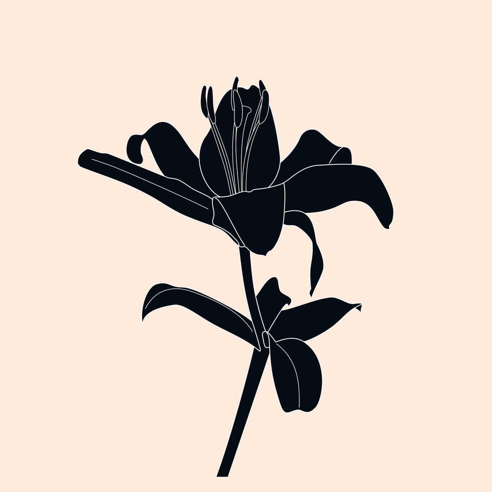 The black silhouette of a blossoming lily flower vector