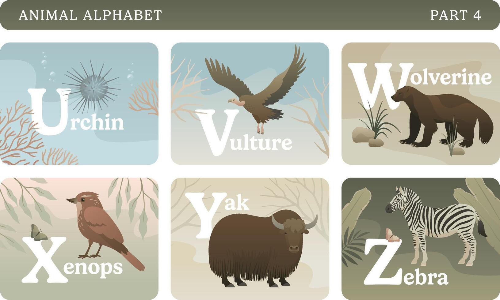 Animal alphabet colorful card set. Educational English learning illustrations. ABC with wild animals, nature, letters and flora elements. Part 4. vector