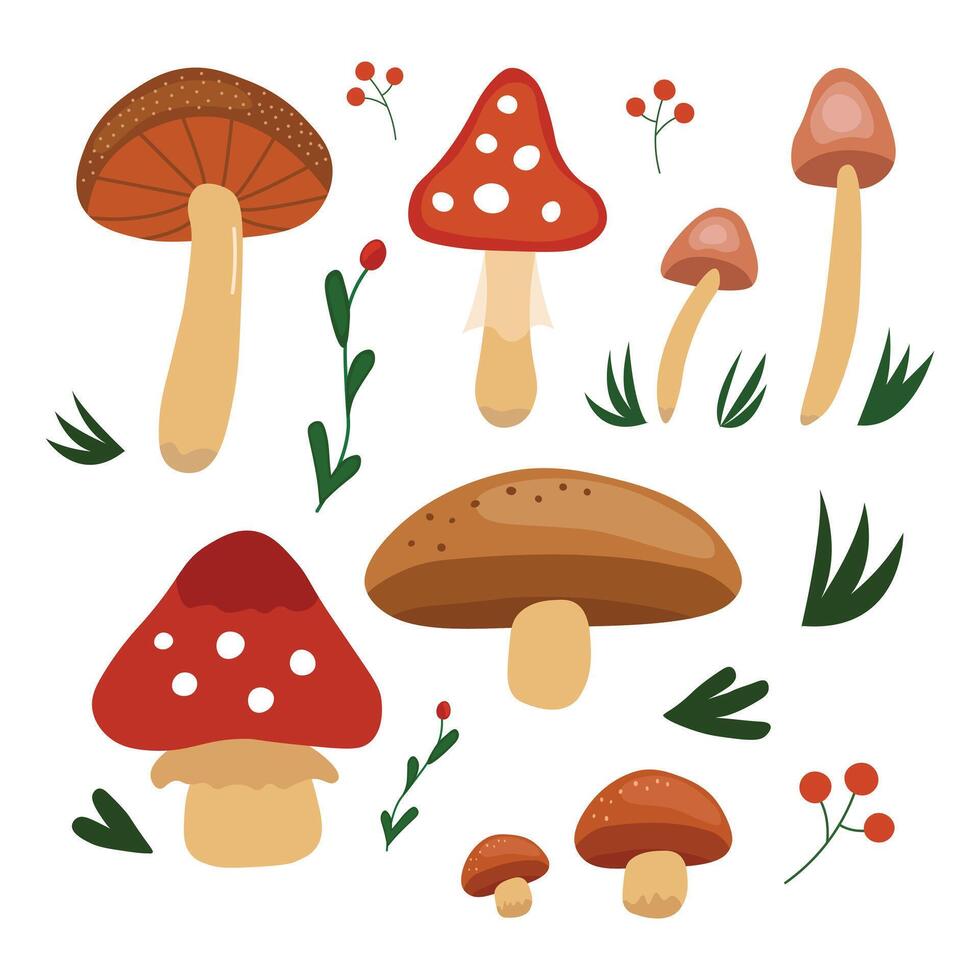 Doodle illustrated collection of various mushrooms and forest plants vector