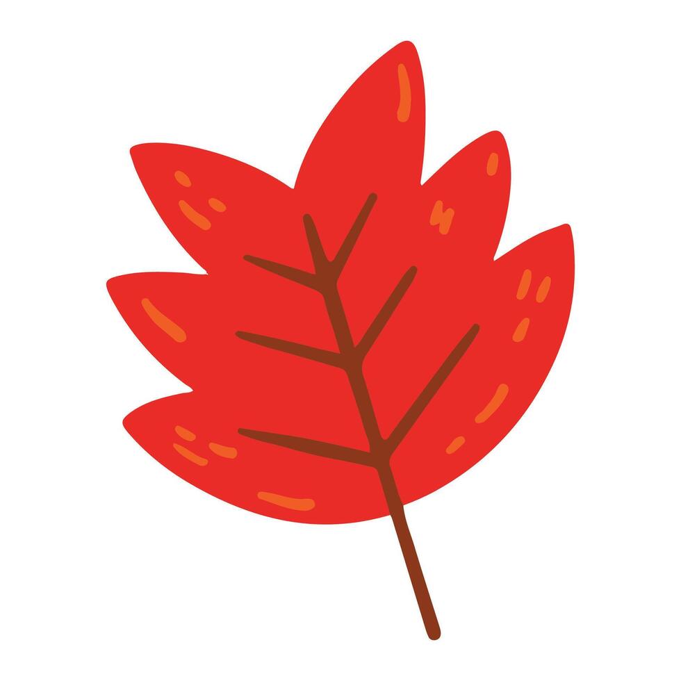 Hand drawn Flower and leaf illustration isolated on white vector