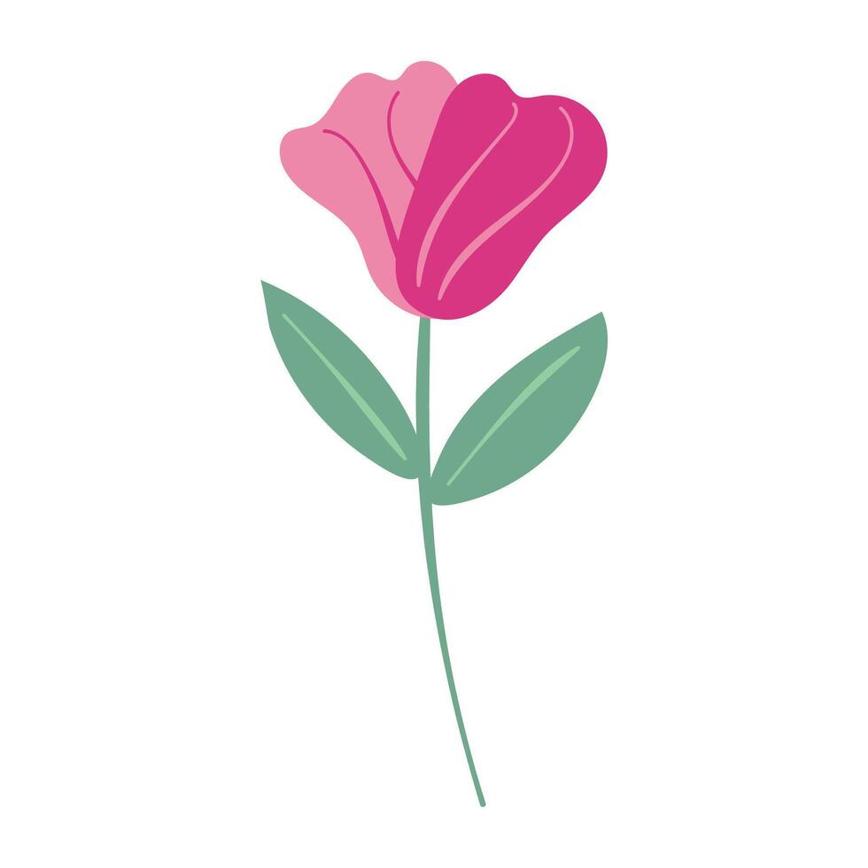 Hand drawn Flower and leaf illustration isolated on the white background vector