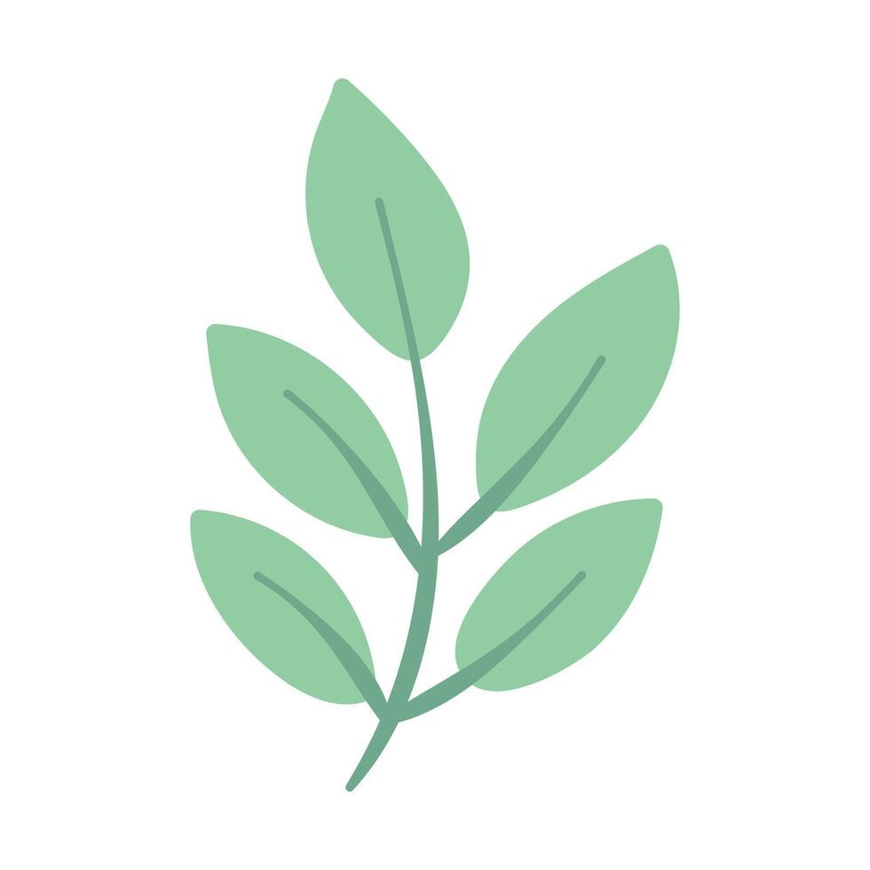 Hand drawn Flower and leaf illustration on a white background vector