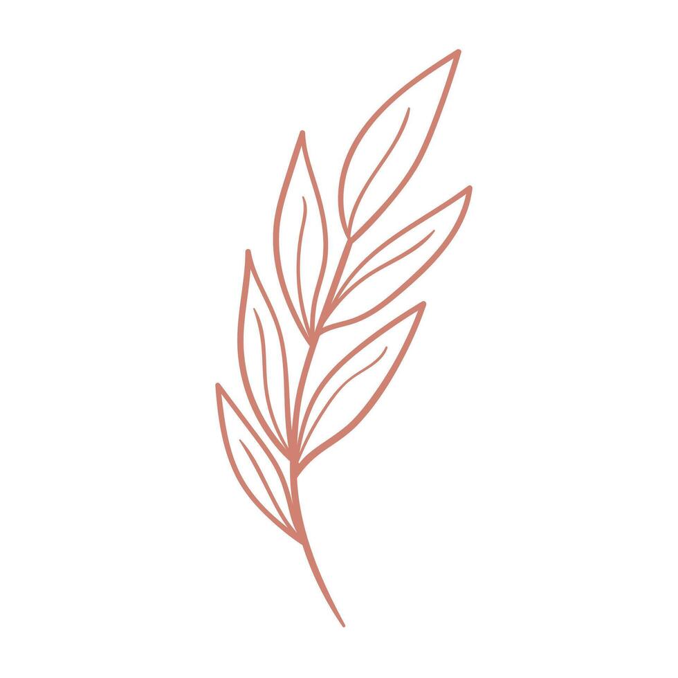 Hand drawn floral decorative elements vector