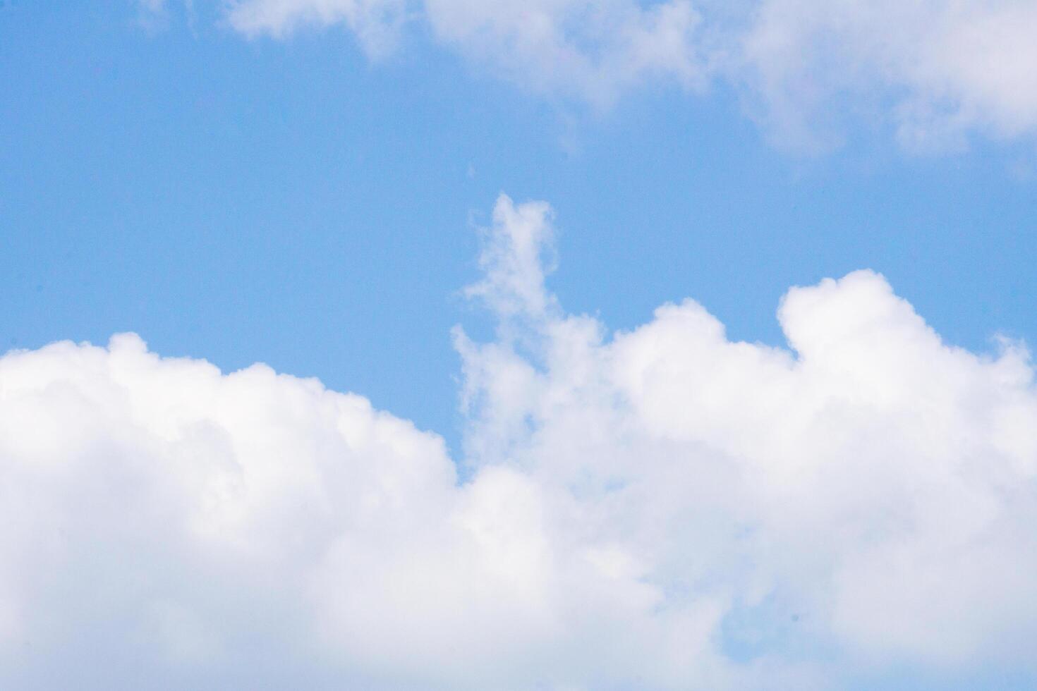 Summer blue sky cloud gradient light white background. Beauty clear cloudy in sunshine calm bright winter air bacground. Gloomy vivid cyan landscape in environment day horizon skyline view spring wind photo