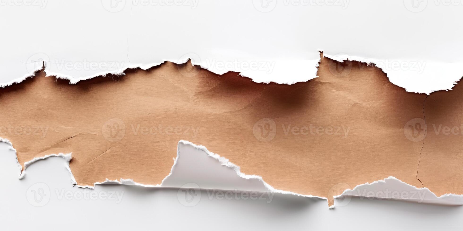Blank torn border of sheet. Empty white background. Abstract grunge texture. Frame with copyspace. Note banner element. Rip paper. photo