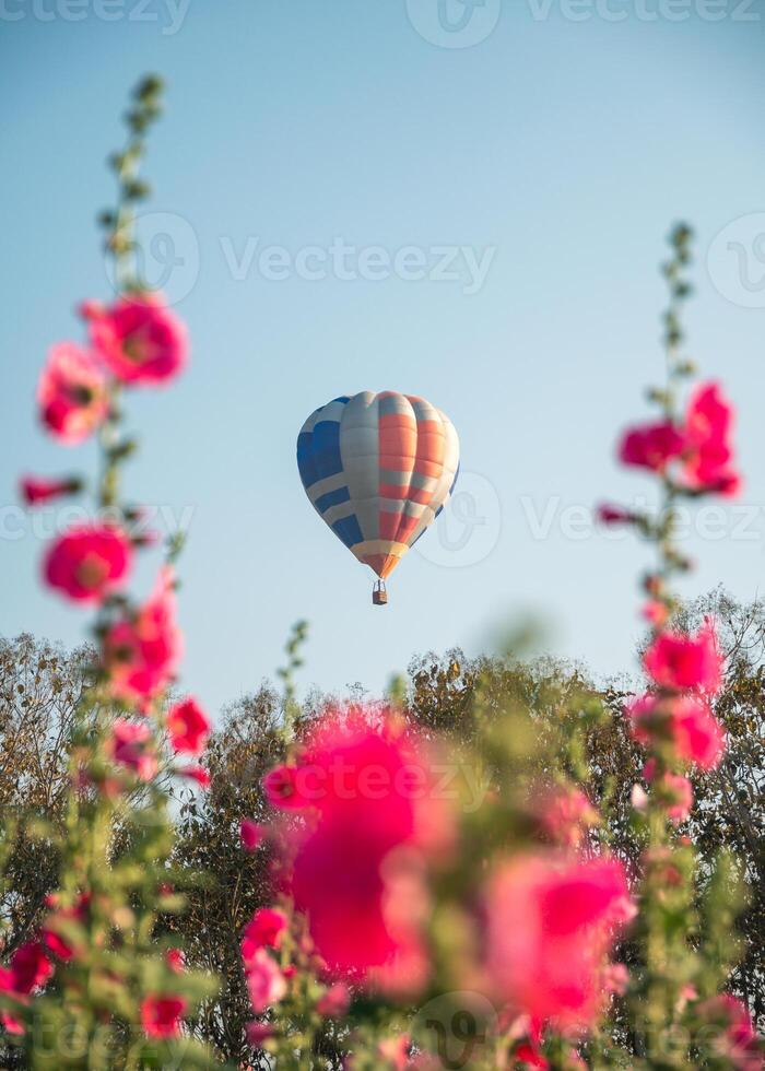 Colorful hot air balloons flying on garden photo