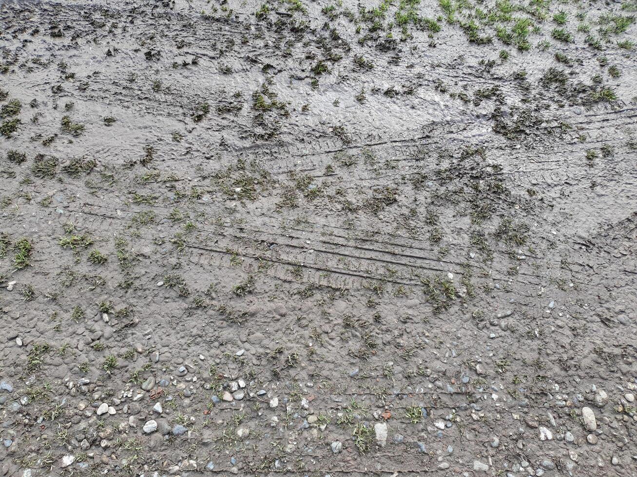 mud texture background photo