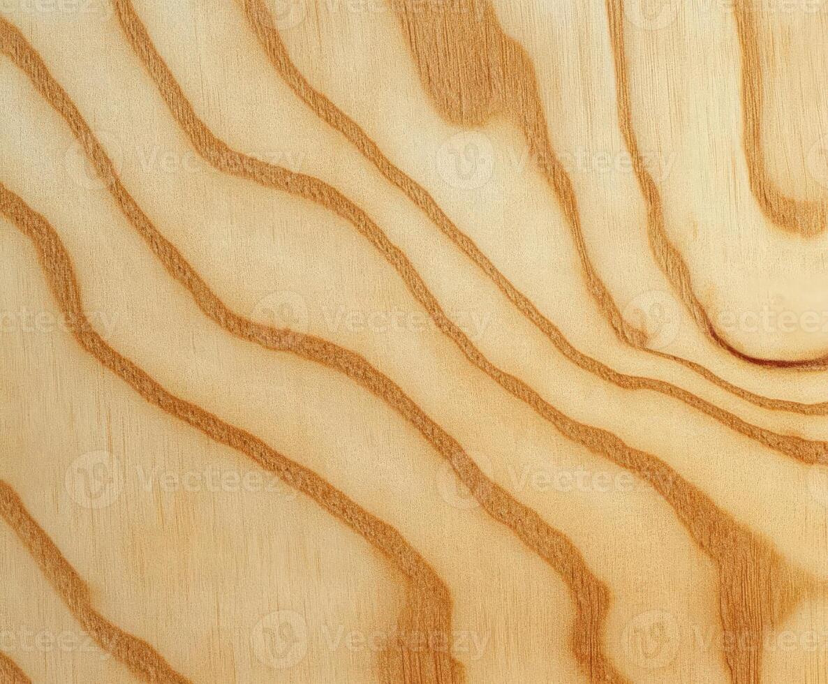 Clean plywood texture with natural grain patterns on smooth surface photo