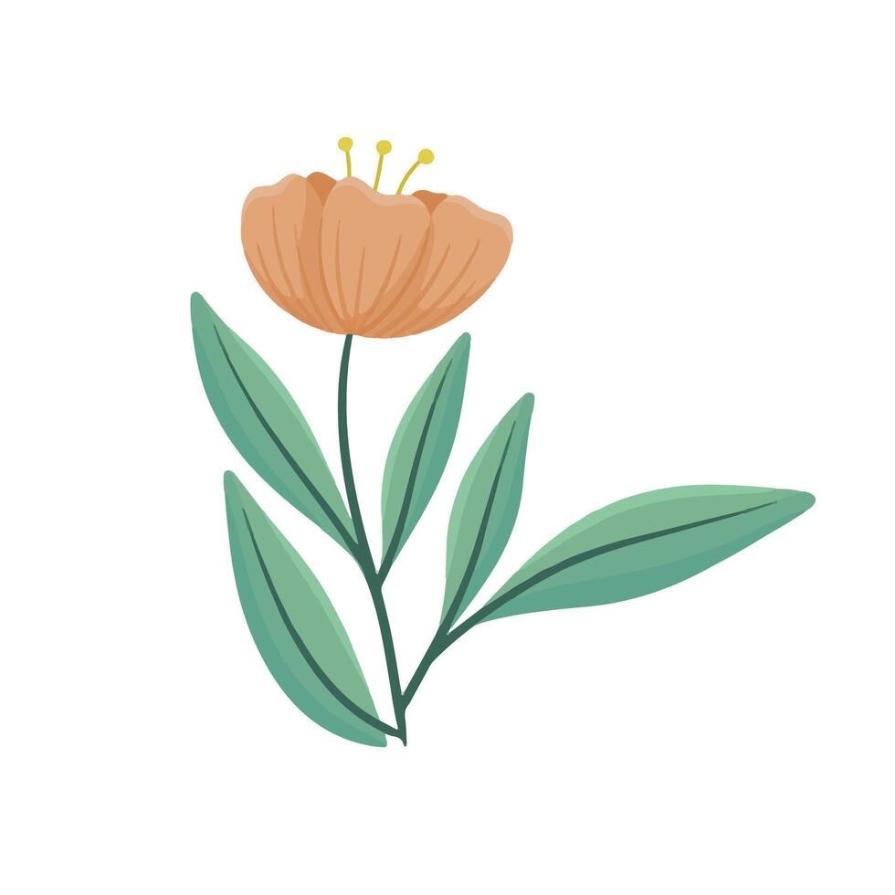 Drawn spring flower illustration isolated on a white background vector