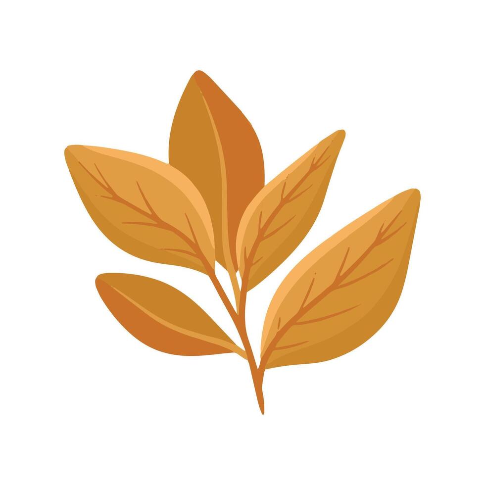 Drawn spring flower illustration isolated on the white background vector