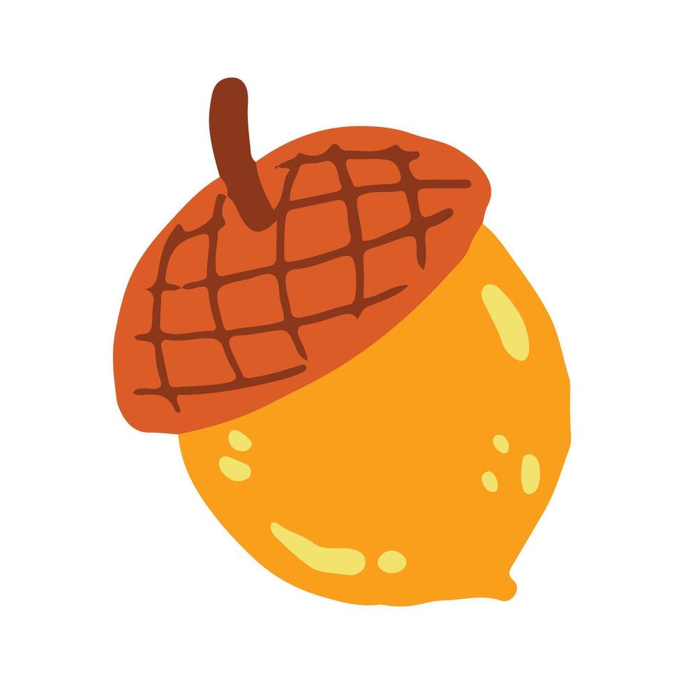 Hand drawn acorn illustration on a white background vector