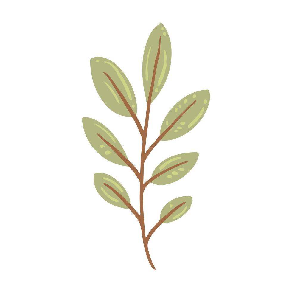 Hand drawn Flower and leaf illustration isolated on white background vector