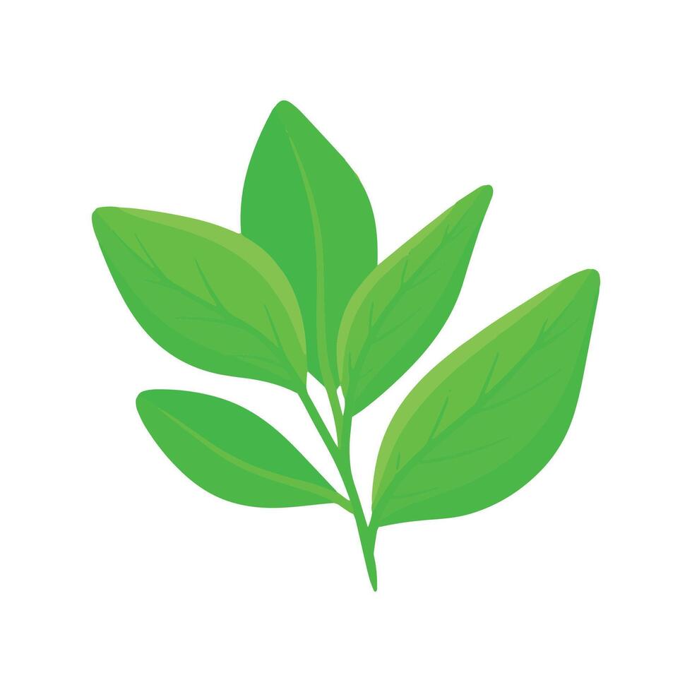 Drawn spring flower illustration isolated vector