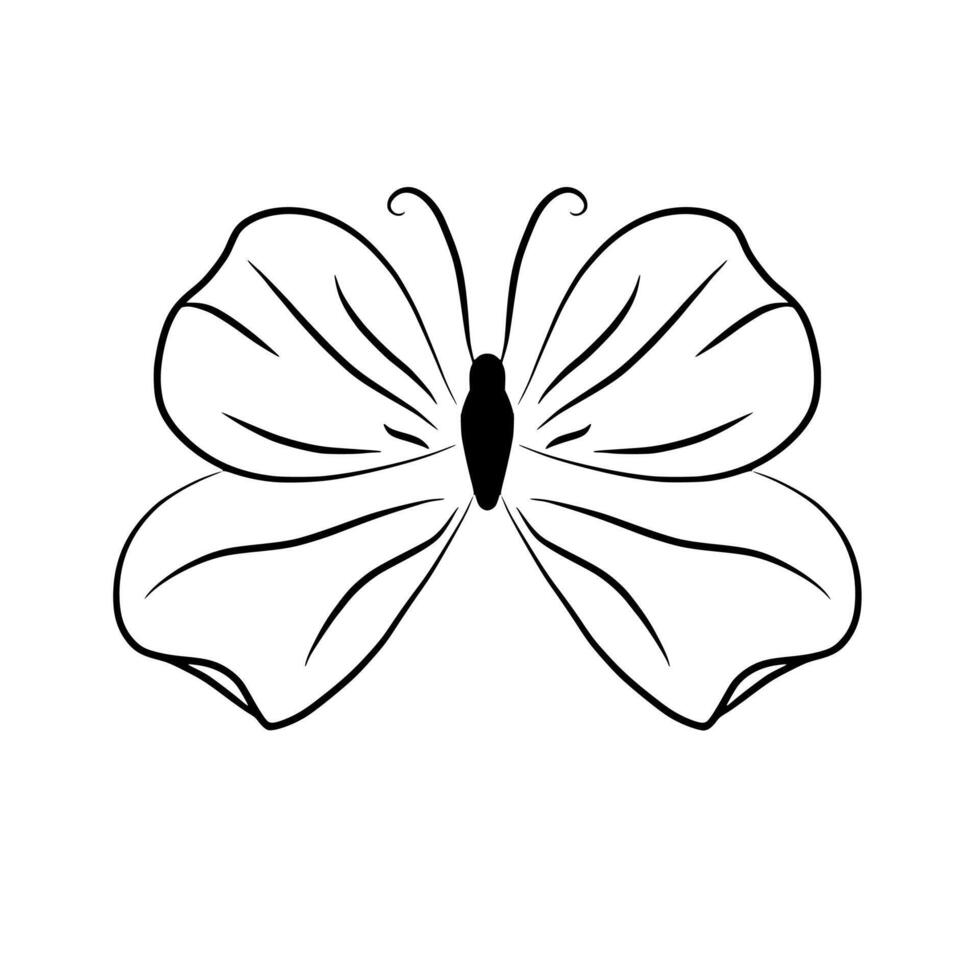 Artistic butterfly line art black outline illustration vector