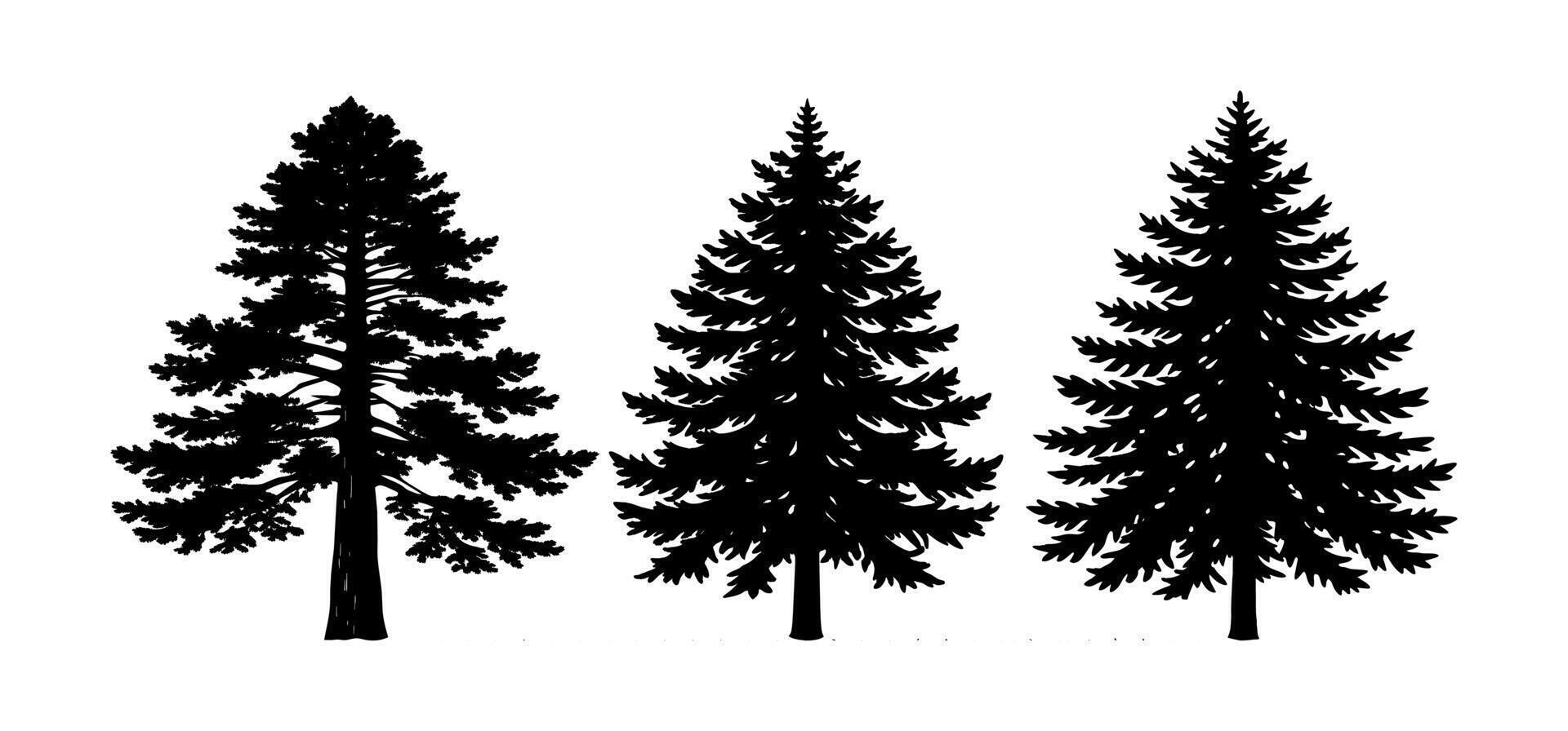 A Set of Douglas Fir Tree Silhouettes vector