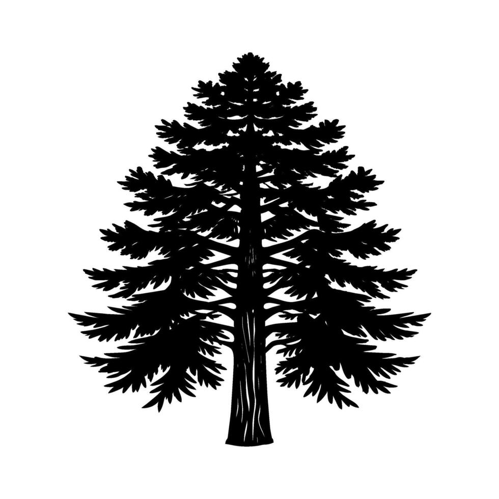 A Coast Redwood Tree Silhouette vector