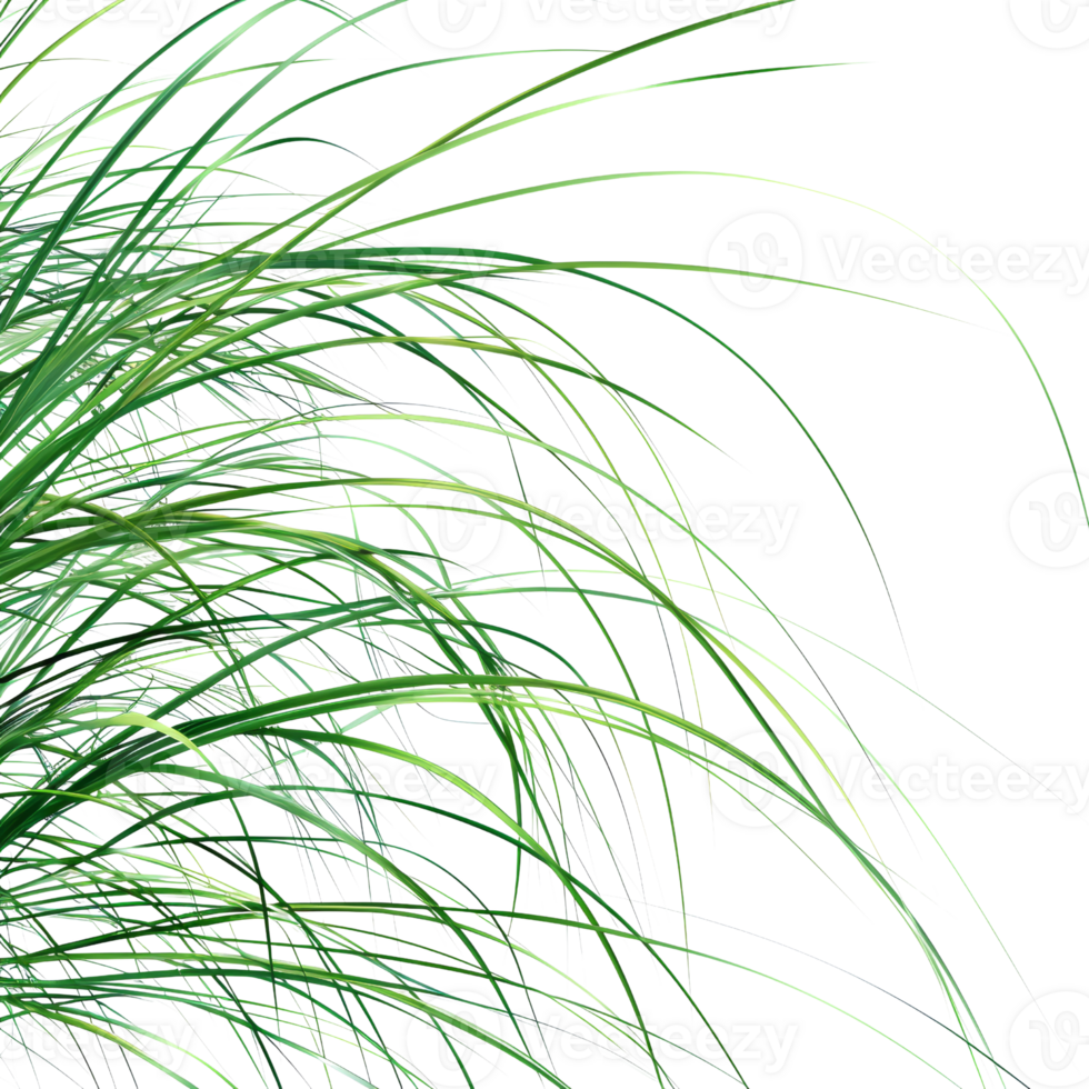 Close-Up of Lush Green Botanical Foliage with Intricate Leaf Patterns and Vibrant Colors png