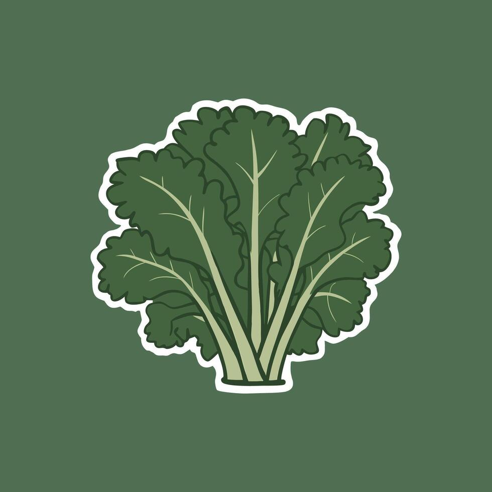 Kale green vegetable Flat illustration. Kale Leaf Icon On Solid Background. vector