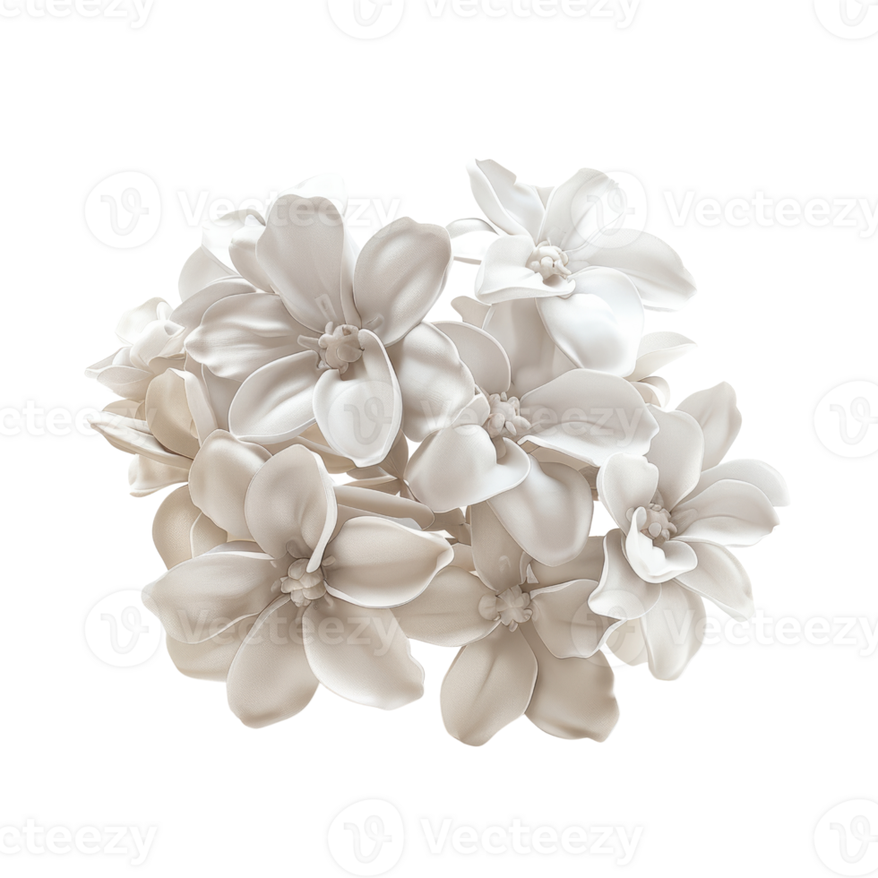 Elegant White Botanical Flowers Cluster - High-Resolution Stock Photo for Nature and Floral Themes png