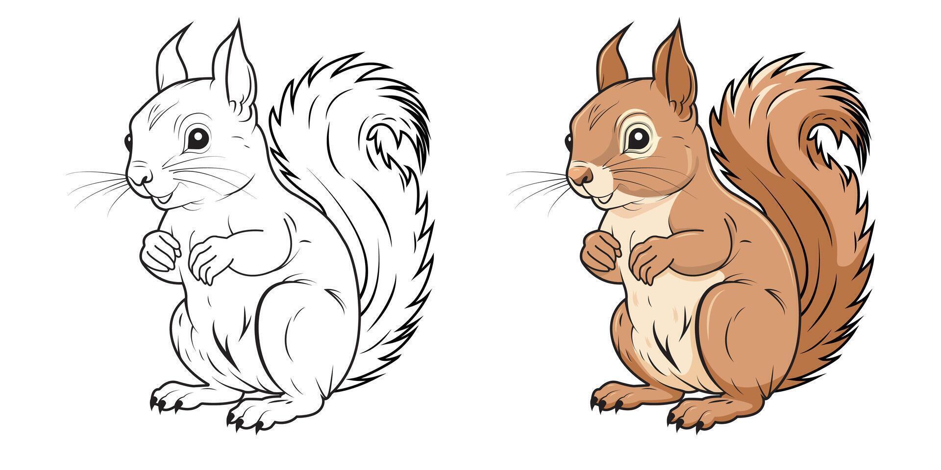 A set of squirrels, one outlined and one colored. Cute squirrels in a cartoon style. vector