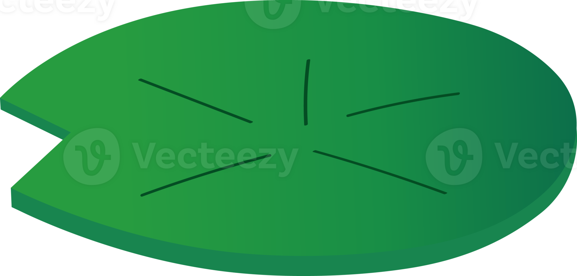 a lotus leaf png