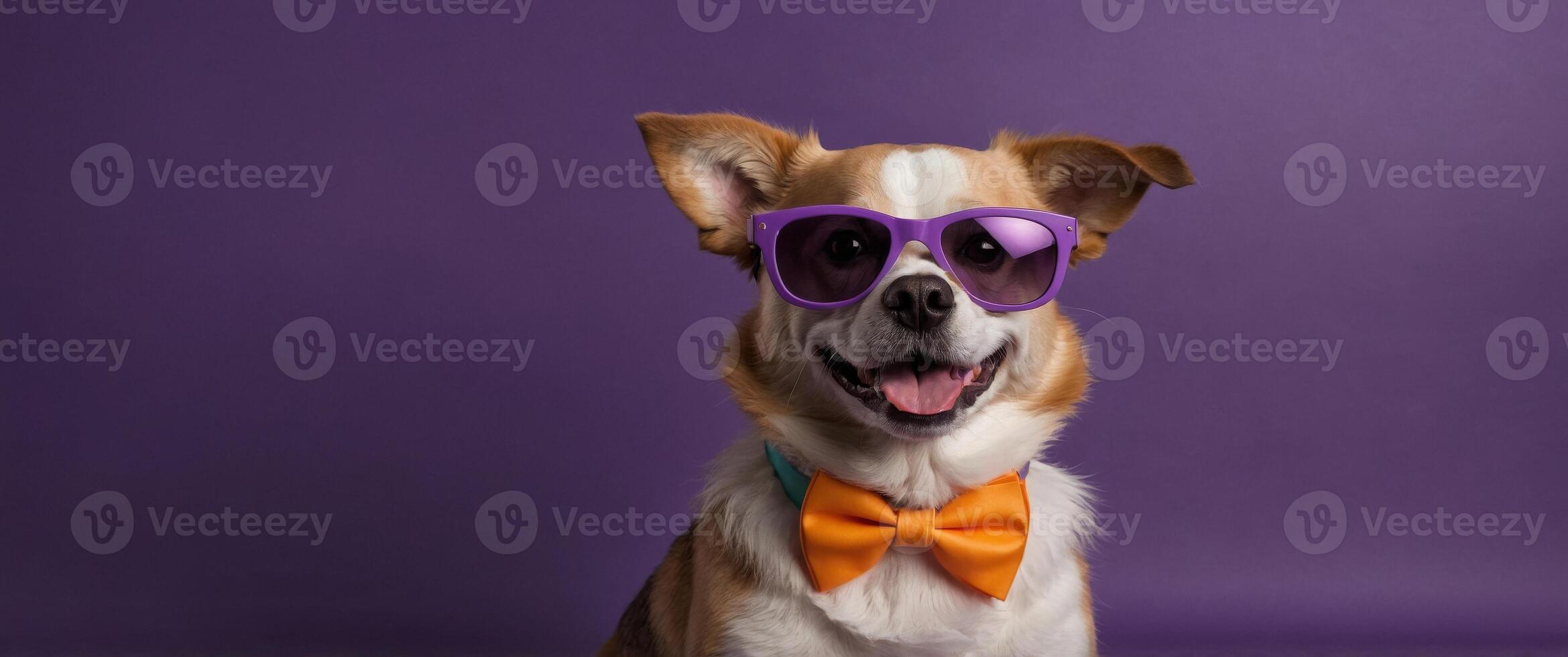 A dog wearing sunglasses and a bow tie is smiling The image has a fun and playful mood banner dog with glasses on colorful purple background. photo