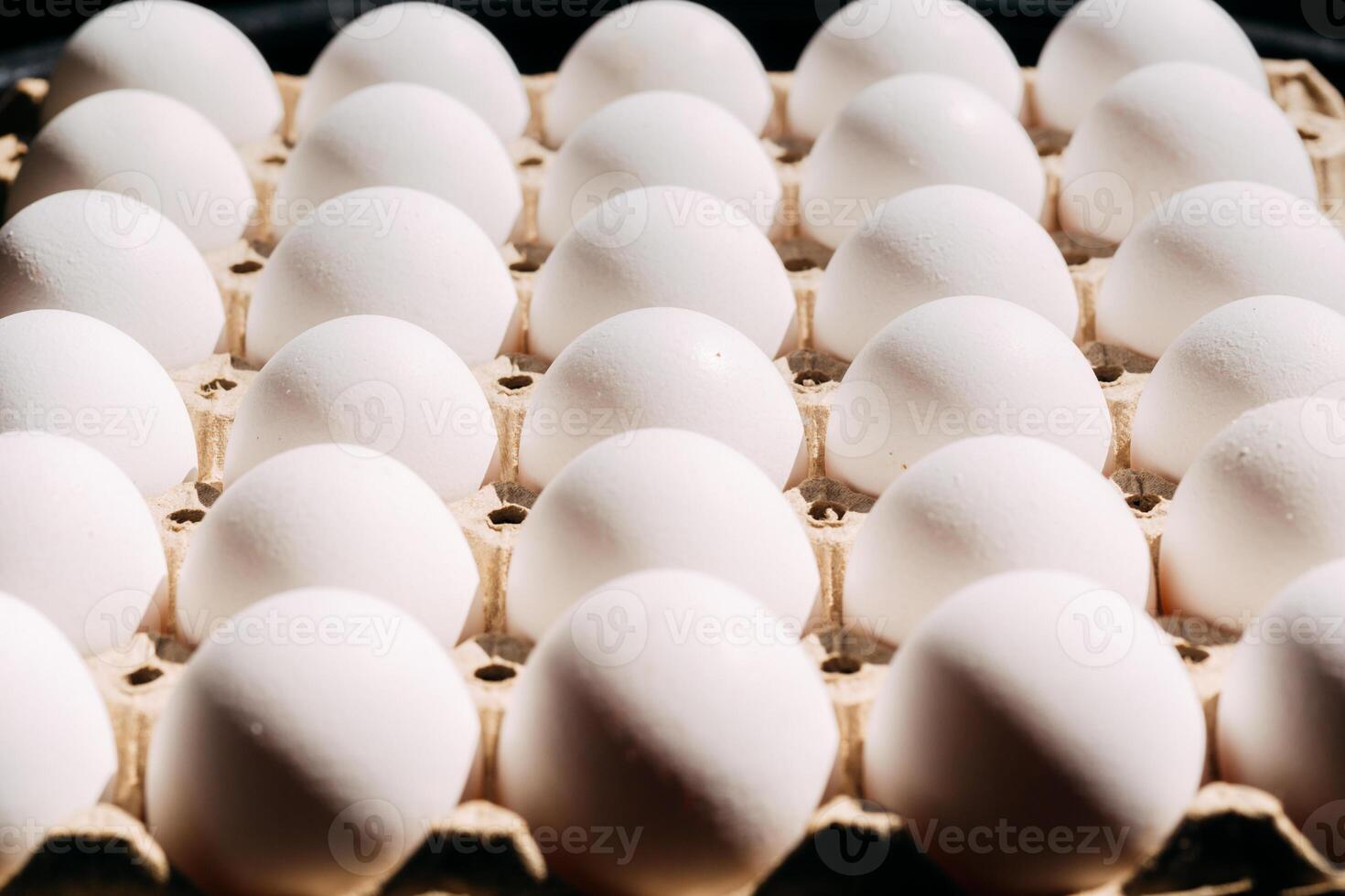 White chicken eggs in tray. photo
