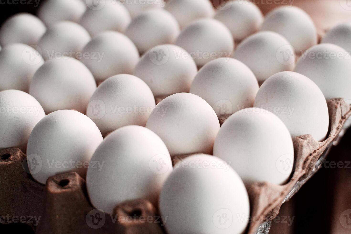 eggs rows pattern box food background photo