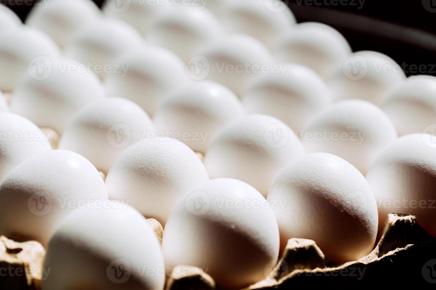 White chicken eggs in tray. photo