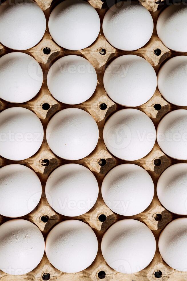 eggs rows pattern box food background photo