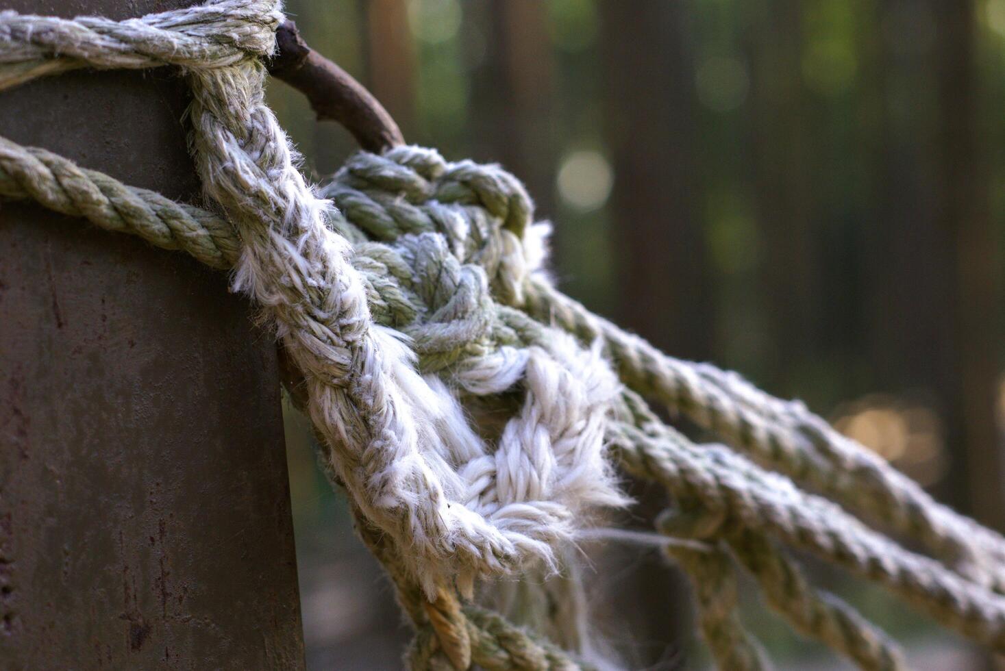 Old rope tie knot photo