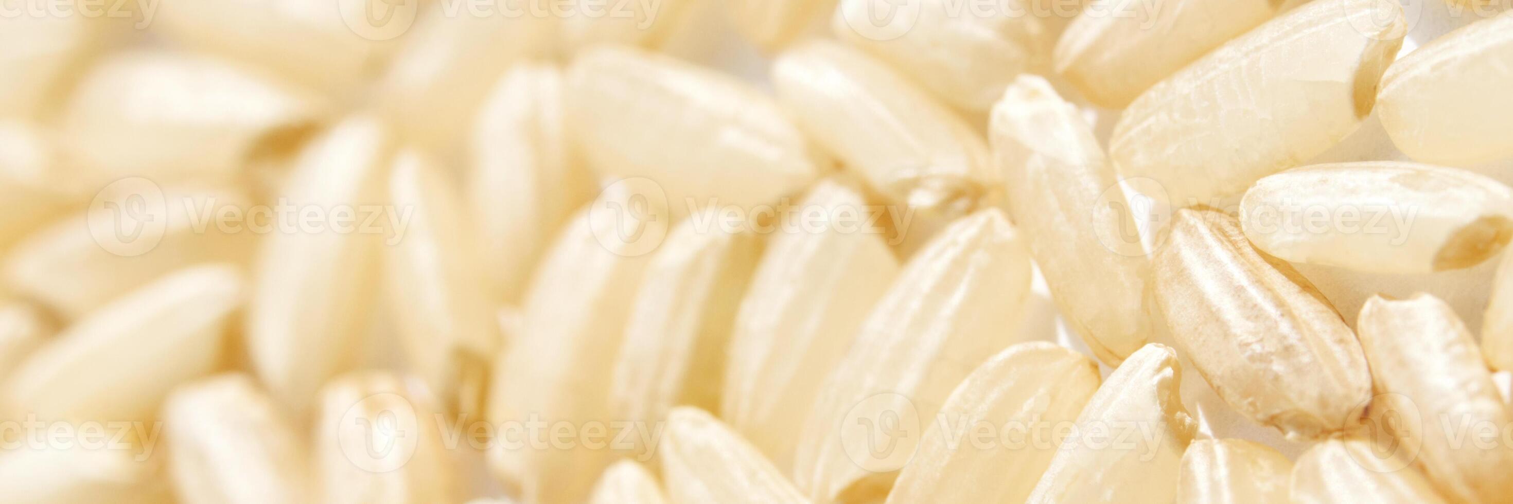 A background of dry brown rice grains showcases the integral, uncooked basmati texture. The macro view highlights the raw nature of this organic, whole food. Horizontal banner photo